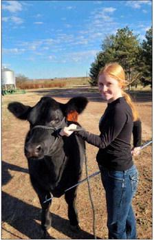 ABOVE: Jaylyn Hamon with her show calf.