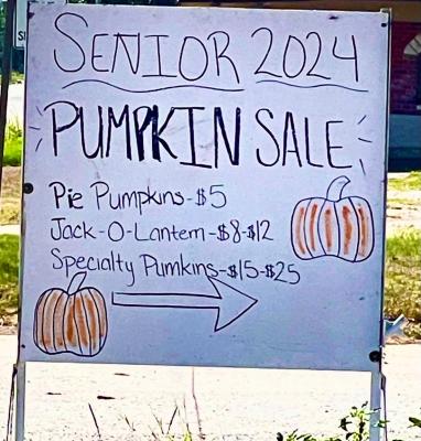 It’s Fall Ya’ll, Come Get A Pumpkin!